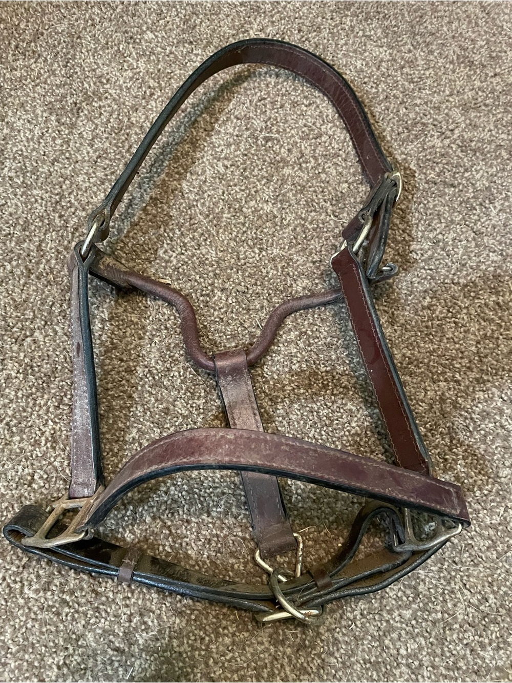 Brown Leather Horse Halter